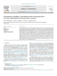 TP1_Prog_Neurobio_Dec_2025