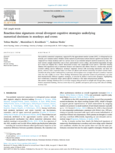 Screenshot 2026-04-13 082944